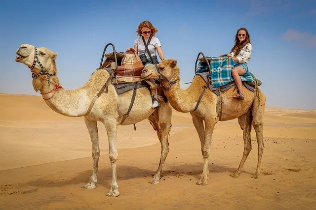 Learning Arabic