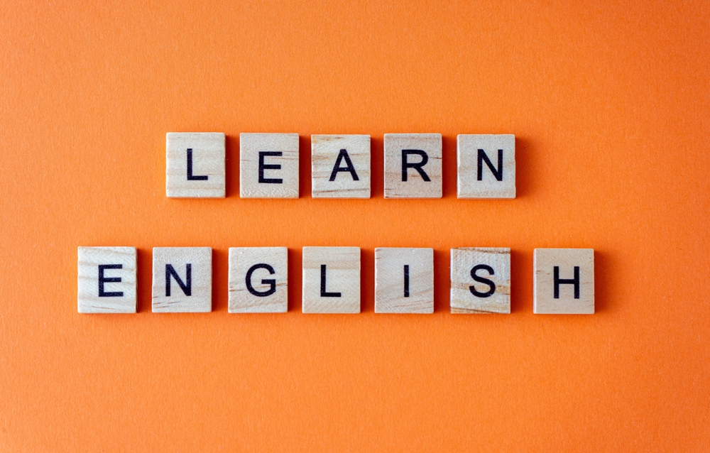 English Grammar in Use Advanced: Essential Rules for Professionals