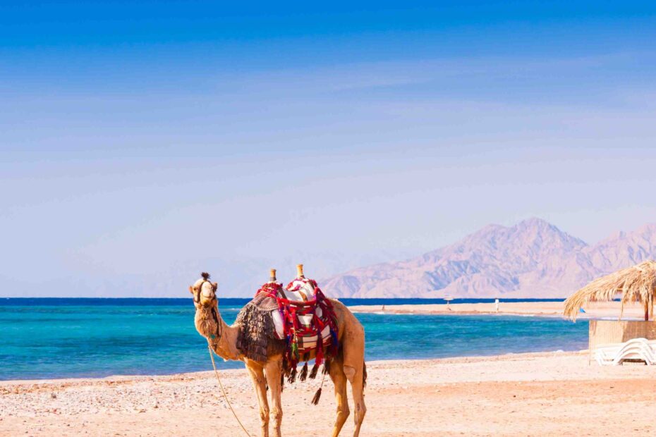 Departure Hurghada: Essential Tips for a Smooth Flight Experience